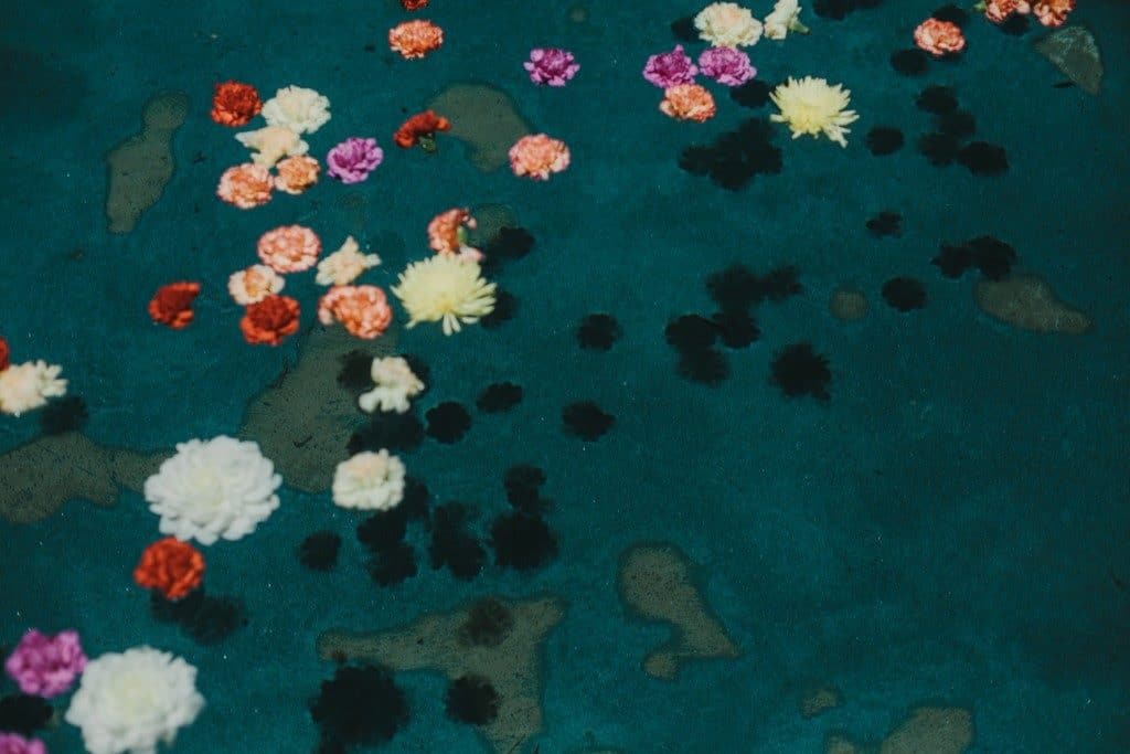 Moroccan Flowers in water